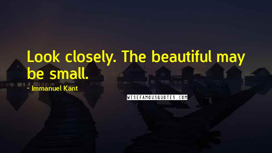 Immanuel Kant Quotes: Look closely. The beautiful may be small.