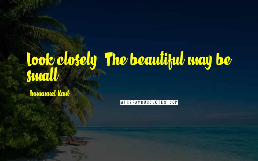 Immanuel Kant Quotes: Look closely. The beautiful may be small.