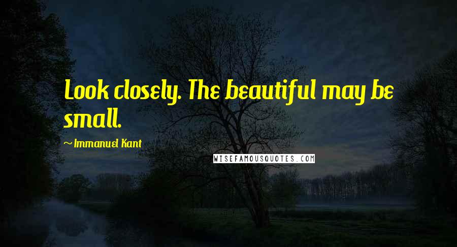 Immanuel Kant Quotes: Look closely. The beautiful may be small.