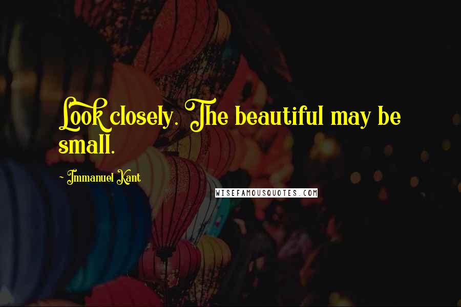 Immanuel Kant Quotes: Look closely. The beautiful may be small.