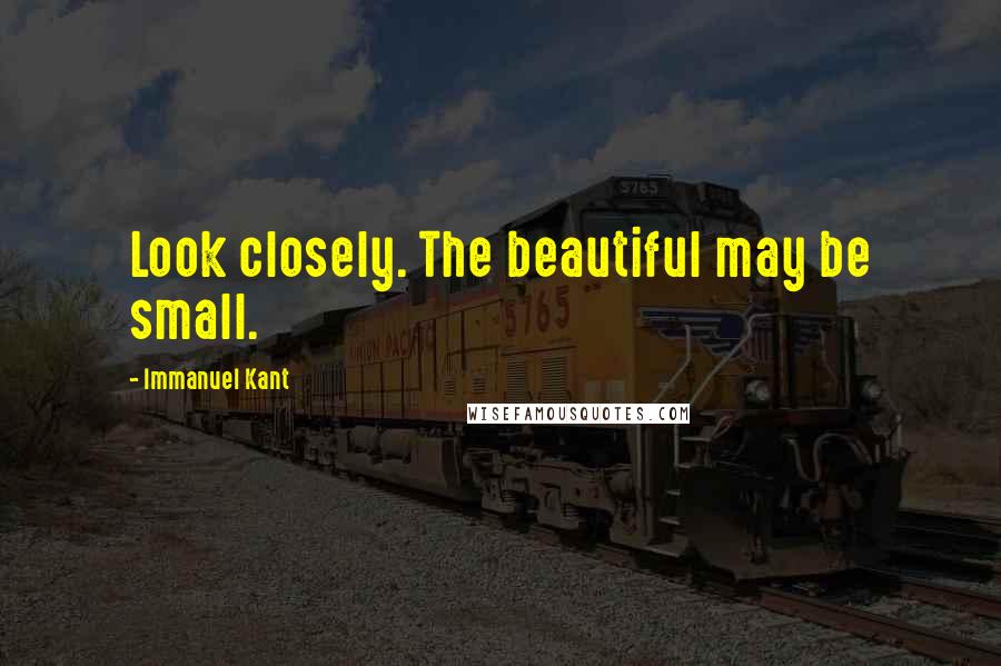 Immanuel Kant Quotes: Look closely. The beautiful may be small.
