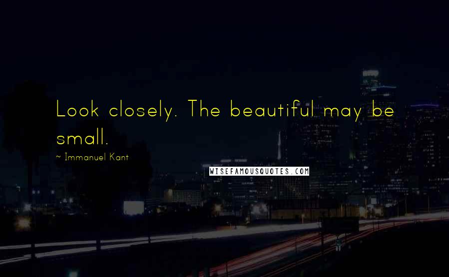 Immanuel Kant Quotes: Look closely. The beautiful may be small.