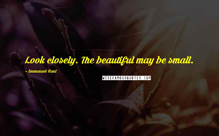 Immanuel Kant Quotes: Look closely. The beautiful may be small.