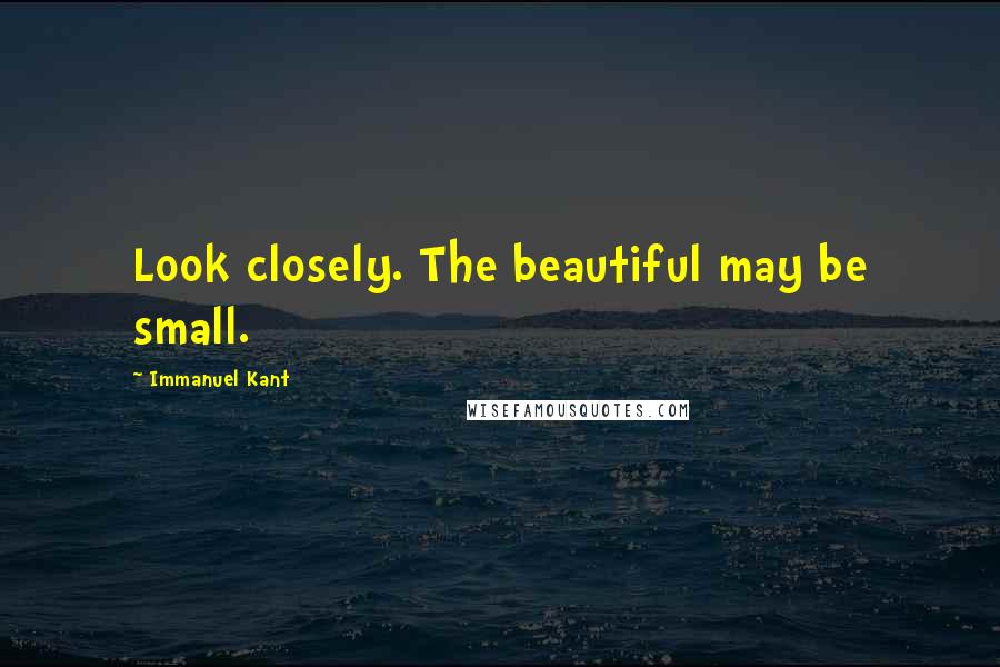 Immanuel Kant Quotes: Look closely. The beautiful may be small.