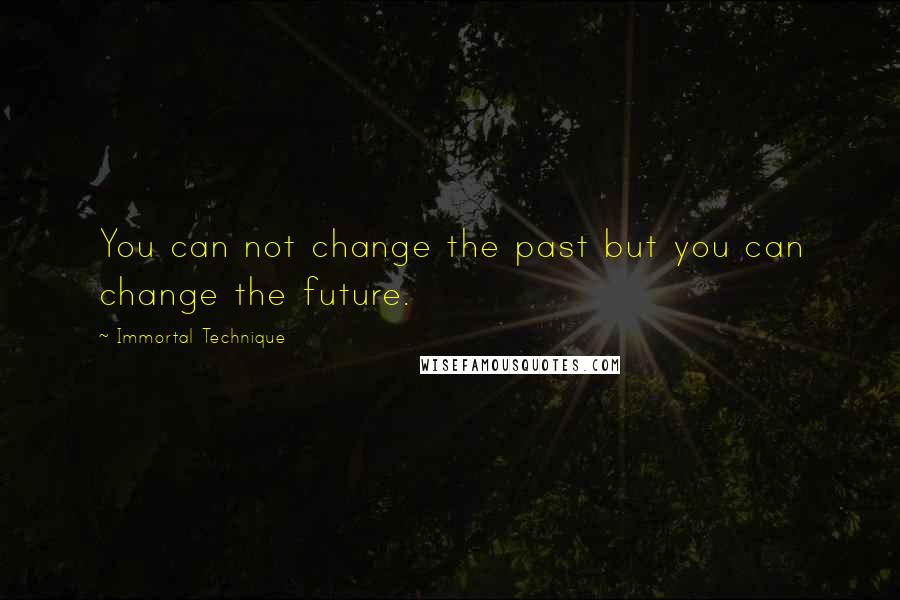 Immortal Technique Quotes: You can not change the past but you can change the future.