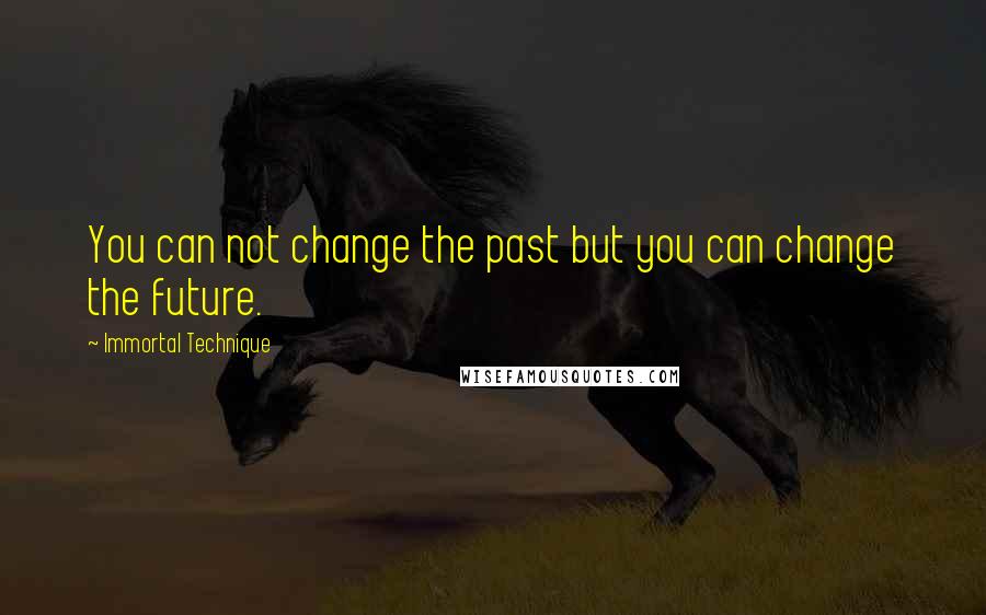 Immortal Technique Quotes: You can not change the past but you can change the future.