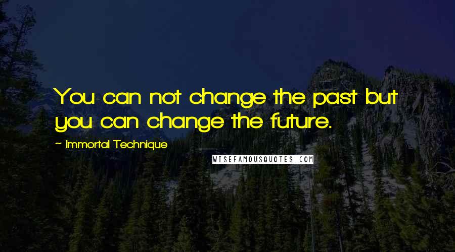 Immortal Technique Quotes: You can not change the past but you can change the future.