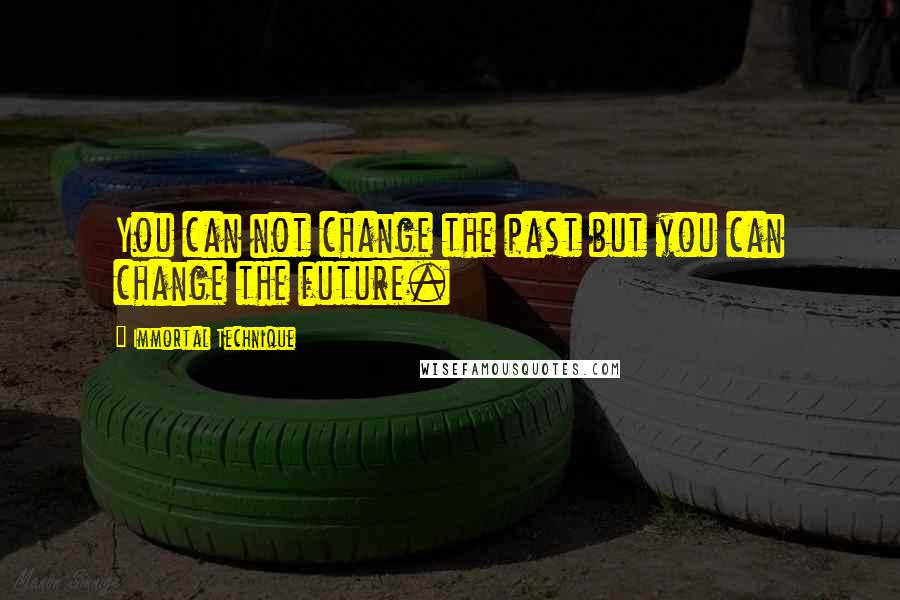 Immortal Technique Quotes: You can not change the past but you can change the future.