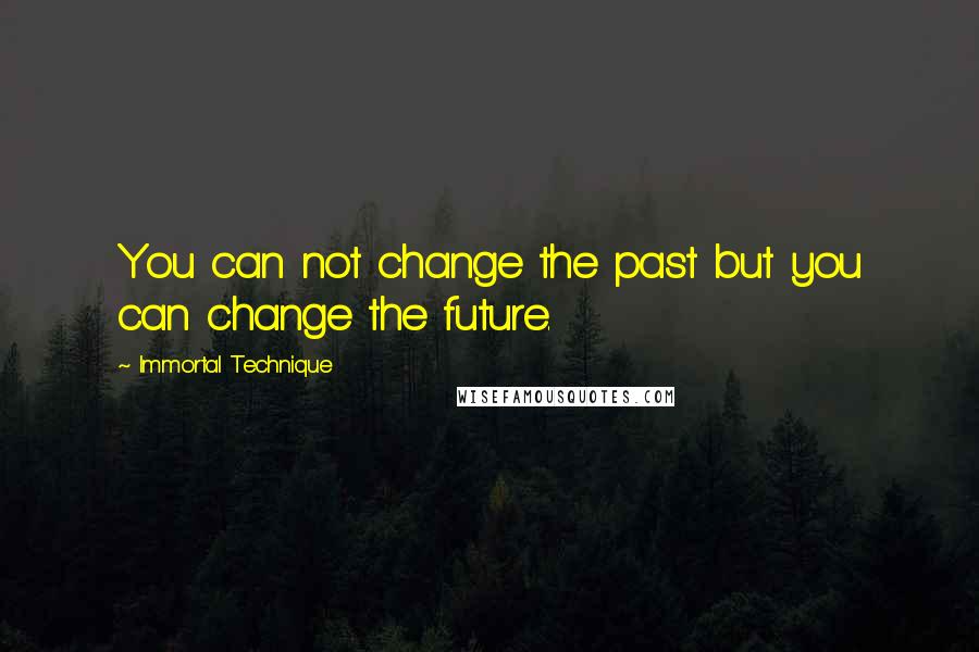 Immortal Technique Quotes: You can not change the past but you can change the future.