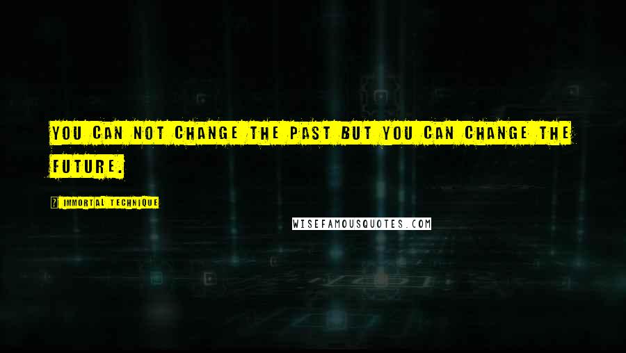 Immortal Technique Quotes: You can not change the past but you can change the future.