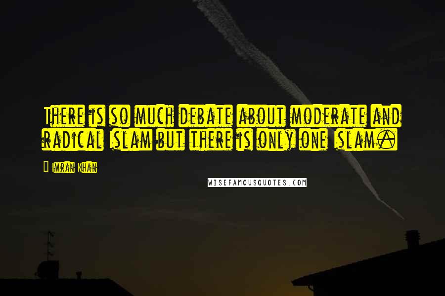 Imran Khan Quotes: There is so much debate about moderate and radical Islam but there is only one Islam.