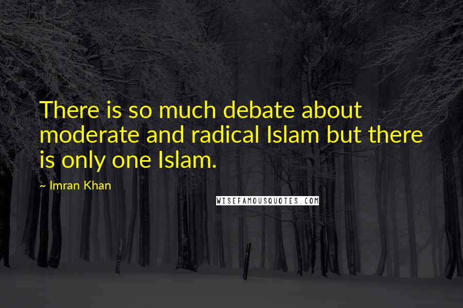 Imran Khan Quotes: There is so much debate about moderate and radical Islam but there is only one Islam.