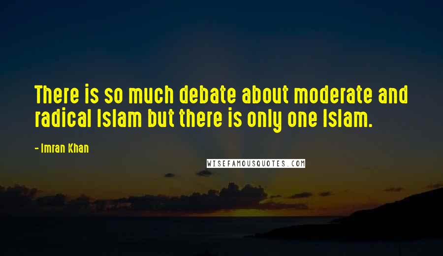 Imran Khan Quotes: There is so much debate about moderate and radical Islam but there is only one Islam.