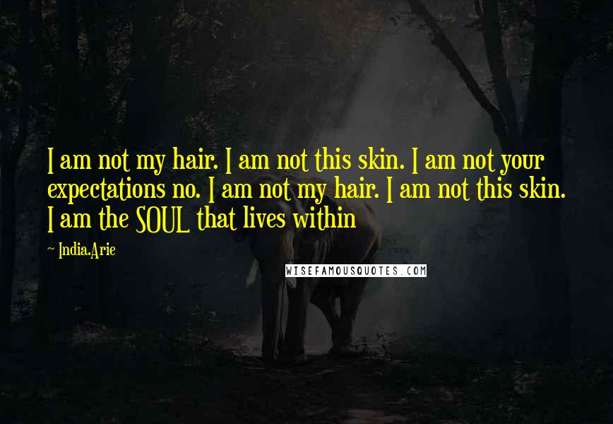 India.Arie Quotes: I am not my hair. I am not this skin. I am not your expectations no. I am not my hair. I am not this skin. I am the SOUL that lives within