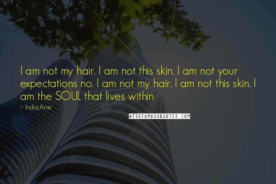 India.Arie Quotes: I am not my hair. I am not this skin. I am not your expectations no. I am not my hair. I am not this skin. I am the SOUL that lives within