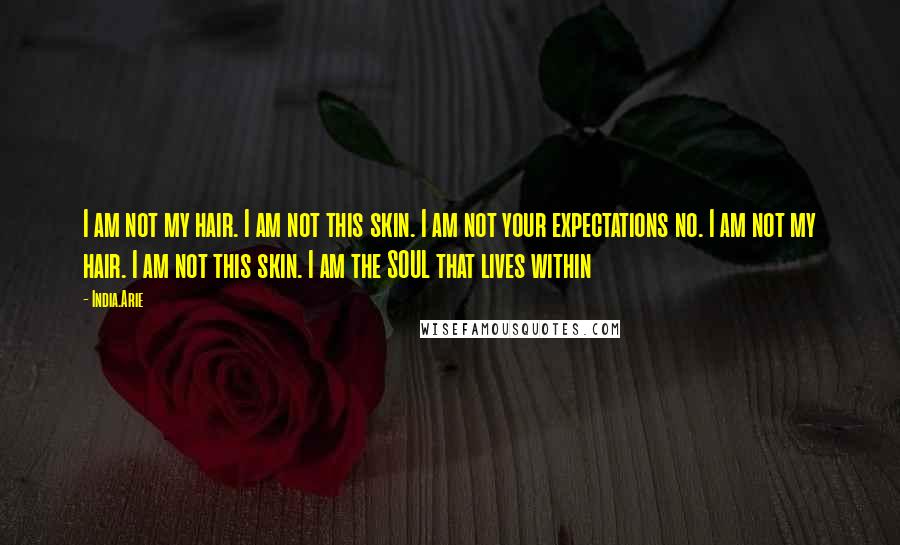 India.Arie Quotes: I am not my hair. I am not this skin. I am not your expectations no. I am not my hair. I am not this skin. I am the SOUL that lives within