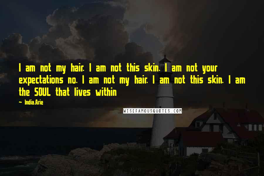 India.Arie Quotes: I am not my hair. I am not this skin. I am not your expectations no. I am not my hair. I am not this skin. I am the SOUL that lives within
