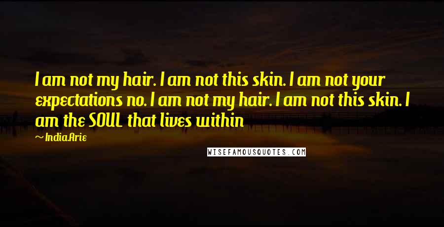 India.Arie Quotes: I am not my hair. I am not this skin. I am not your expectations no. I am not my hair. I am not this skin. I am the SOUL that lives within