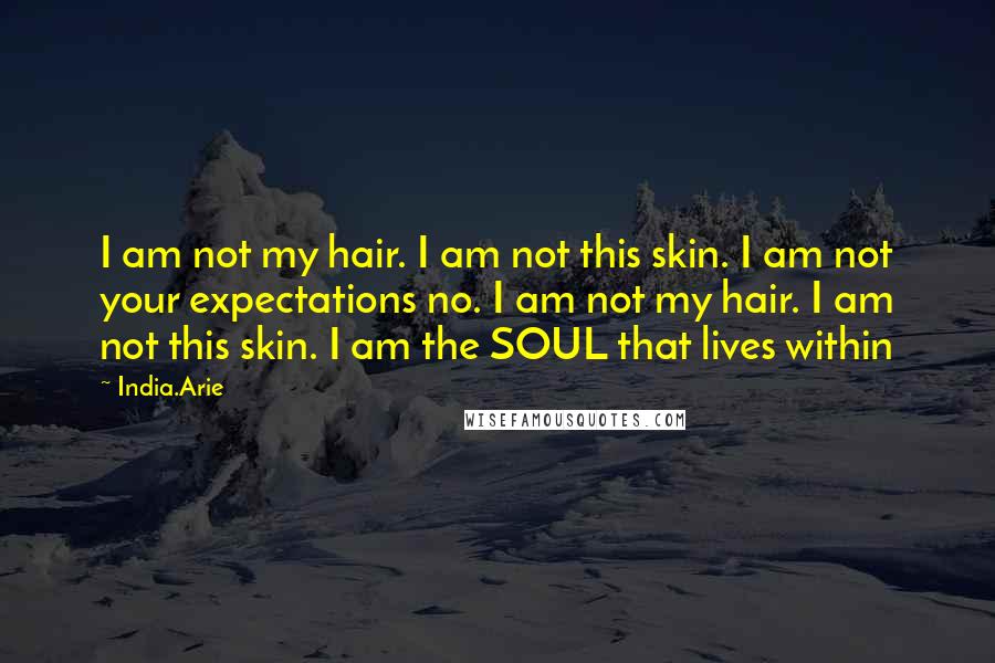 India.Arie Quotes: I am not my hair. I am not this skin. I am not your expectations no. I am not my hair. I am not this skin. I am the SOUL that lives within