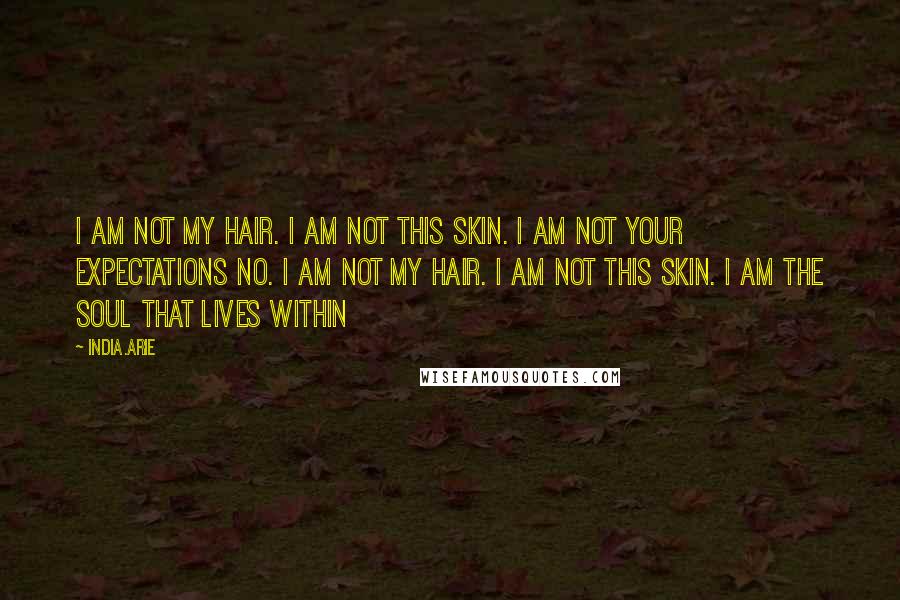 India.Arie Quotes: I am not my hair. I am not this skin. I am not your expectations no. I am not my hair. I am not this skin. I am the SOUL that lives within