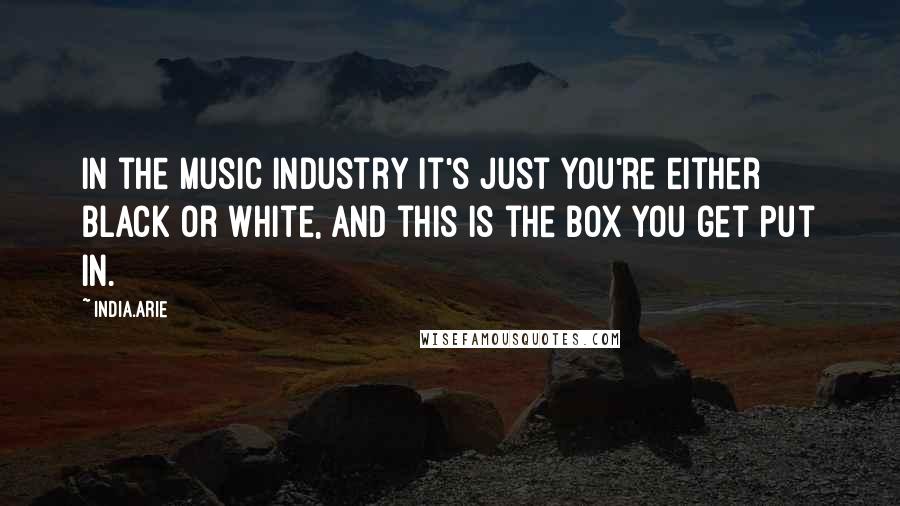 India.Arie Quotes: In the music industry it's just you're either Black or white, and this is the box you get put in.