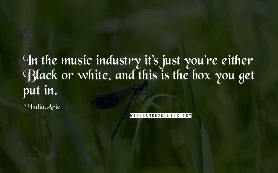 India.Arie Quotes: In the music industry it's just you're either Black or white, and this is the box you get put in.