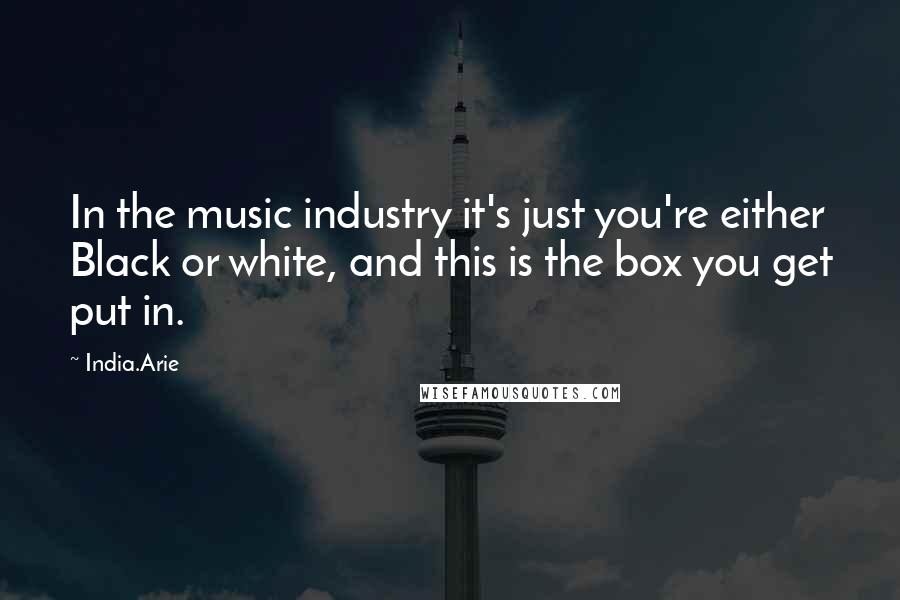 India.Arie Quotes: In the music industry it's just you're either Black or white, and this is the box you get put in.