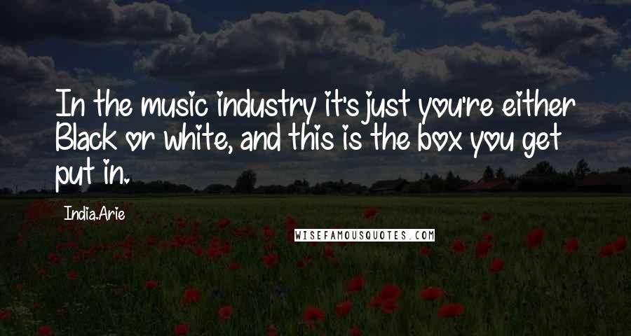 India.Arie Quotes: In the music industry it's just you're either Black or white, and this is the box you get put in.