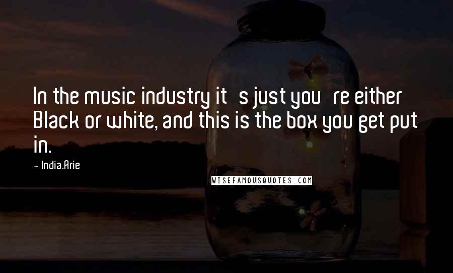 India.Arie Quotes: In the music industry it's just you're either Black or white, and this is the box you get put in.