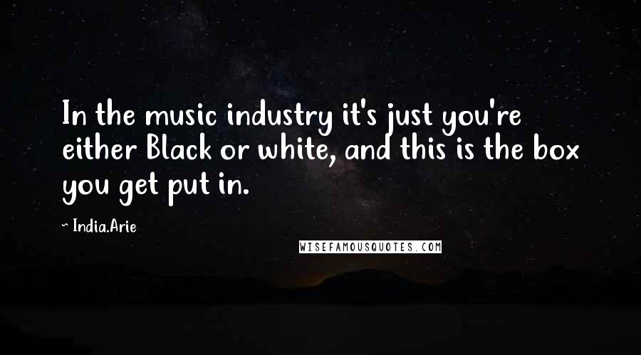 India.Arie Quotes: In the music industry it's just you're either Black or white, and this is the box you get put in.