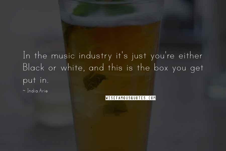 India.Arie Quotes: In the music industry it's just you're either Black or white, and this is the box you get put in.