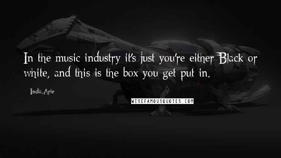 India.Arie Quotes: In the music industry it's just you're either Black or white, and this is the box you get put in.