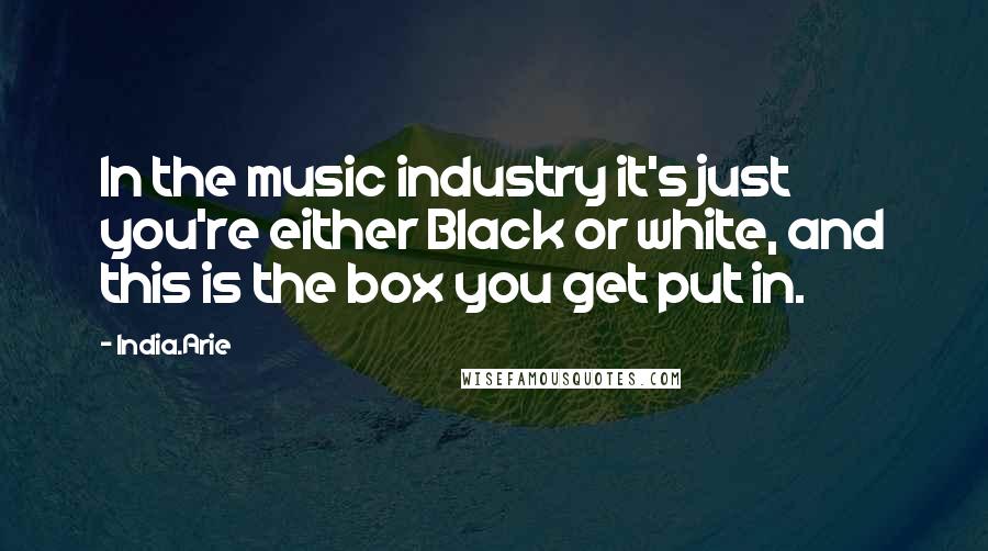 India.Arie Quotes: In the music industry it's just you're either Black or white, and this is the box you get put in.