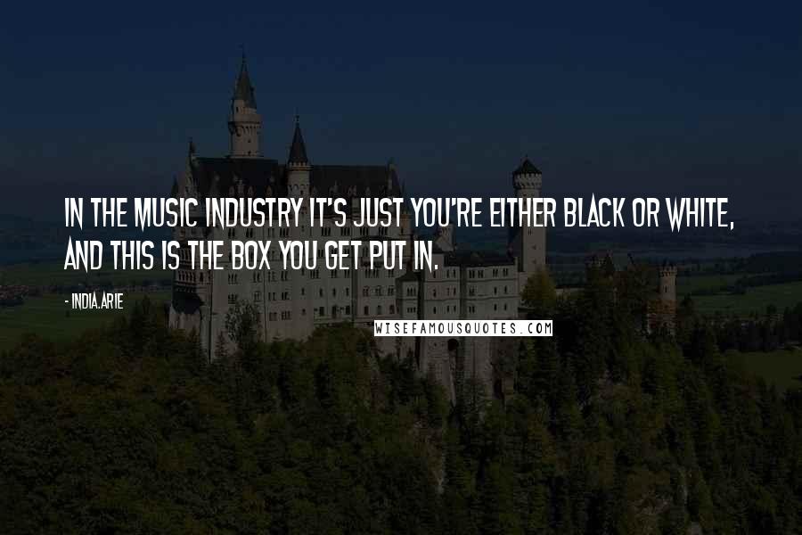 India.Arie Quotes: In the music industry it's just you're either Black or white, and this is the box you get put in.