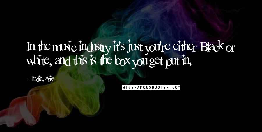 India.Arie Quotes: In the music industry it's just you're either Black or white, and this is the box you get put in.