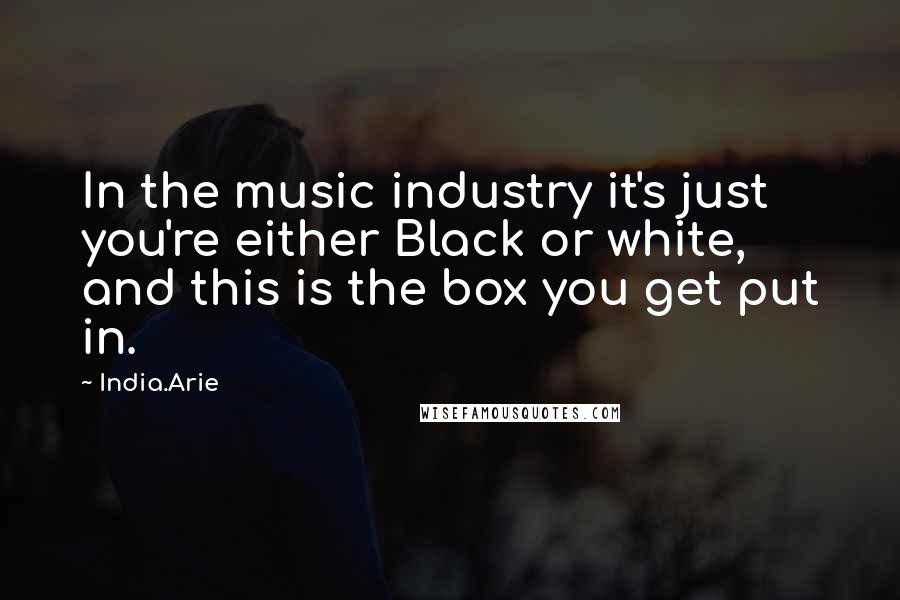 India.Arie Quotes: In the music industry it's just you're either Black or white, and this is the box you get put in.