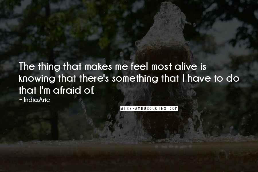 India.Arie Quotes: The thing that makes me feel most alive is knowing that there's something that I have to do that I'm afraid of.