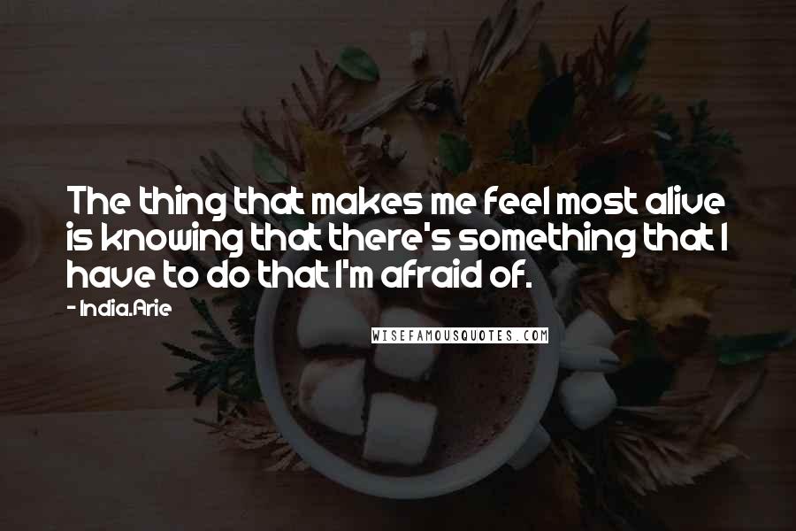 India.Arie Quotes: The thing that makes me feel most alive is knowing that there's something that I have to do that I'm afraid of.