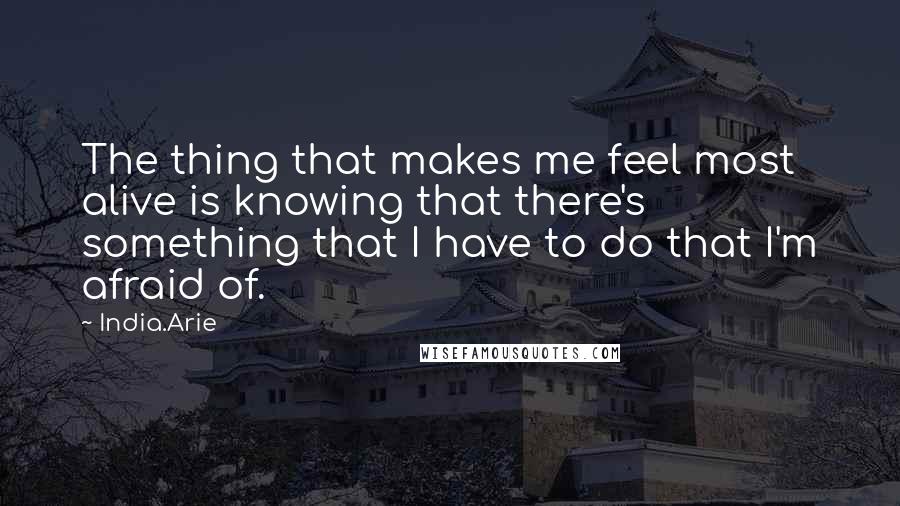 India.Arie Quotes: The thing that makes me feel most alive is knowing that there's something that I have to do that I'm afraid of.