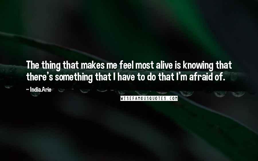 India.Arie Quotes: The thing that makes me feel most alive is knowing that there's something that I have to do that I'm afraid of.