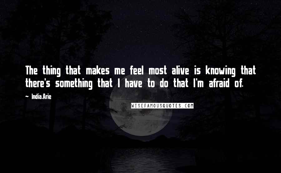 India.Arie Quotes: The thing that makes me feel most alive is knowing that there's something that I have to do that I'm afraid of.