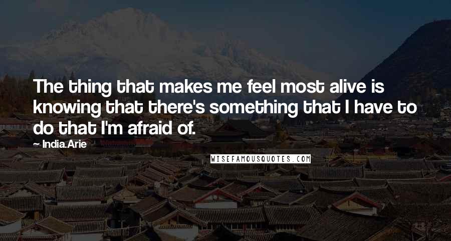 India.Arie Quotes: The thing that makes me feel most alive is knowing that there's something that I have to do that I'm afraid of.