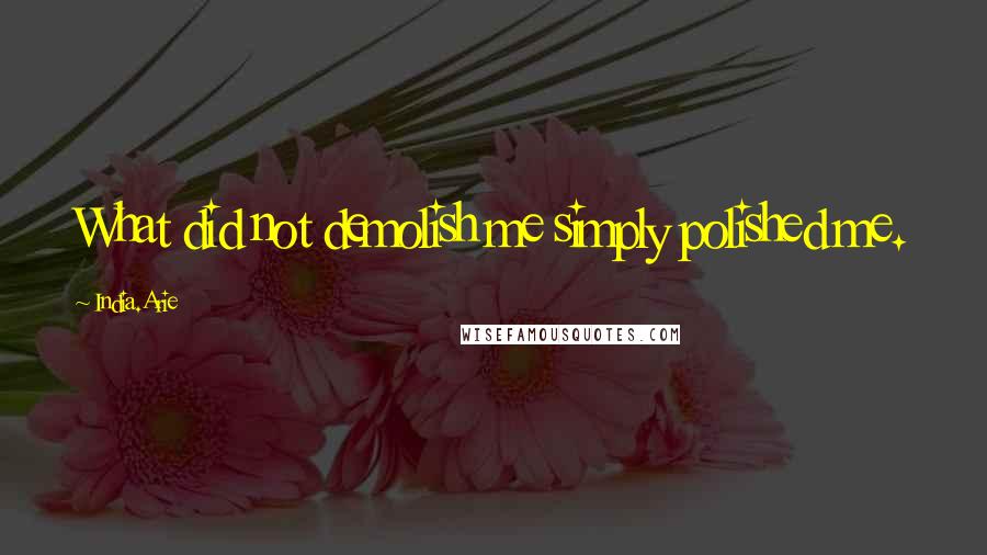 India.Arie Quotes: What did not demolish me simply polished me.