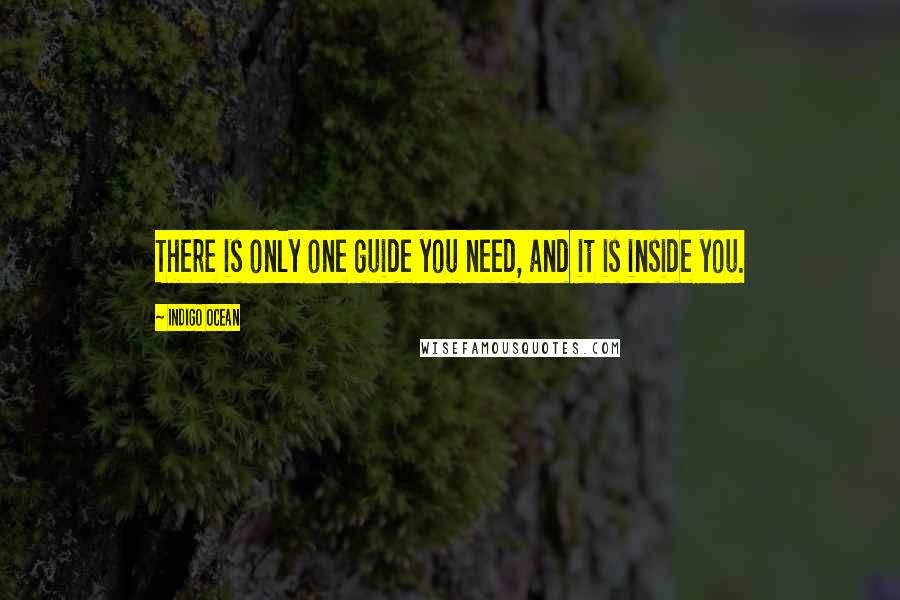 Indigo Ocean Quotes: There is only one guide you need, and it is inside you.