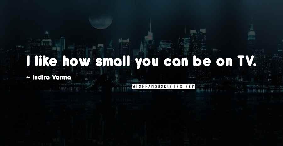 Indira Varma Quotes: I like how small you can be on TV.