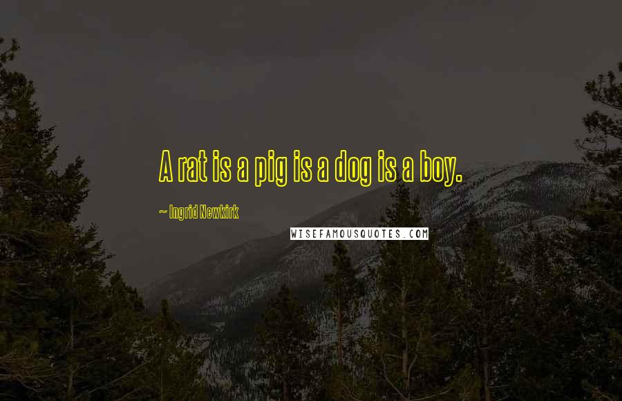 Ingrid Newkirk Quotes: A rat is a pig is a dog is a boy.