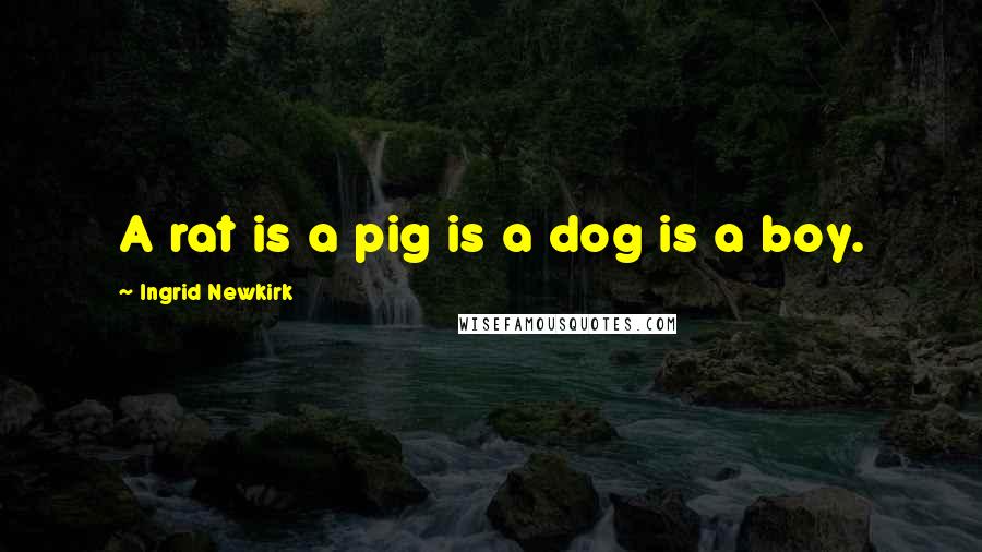 Ingrid Newkirk Quotes: A rat is a pig is a dog is a boy.