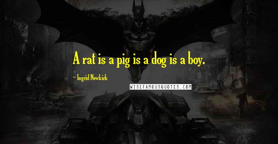 Ingrid Newkirk Quotes: A rat is a pig is a dog is a boy.