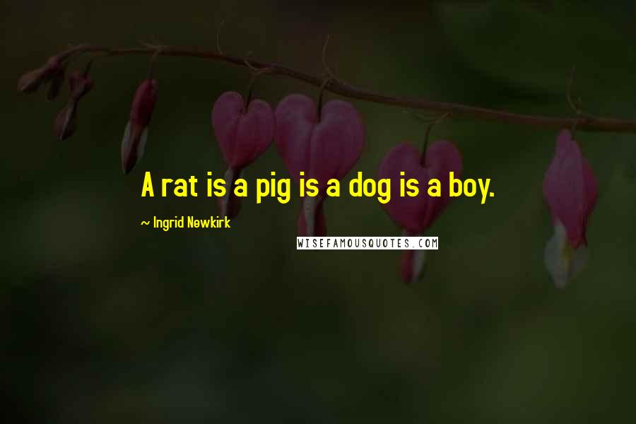 Ingrid Newkirk Quotes: A rat is a pig is a dog is a boy.