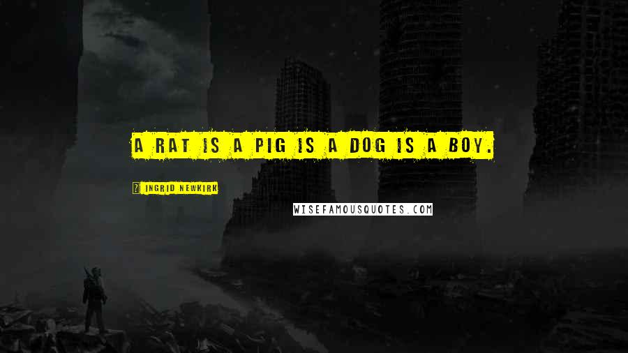 Ingrid Newkirk Quotes: A rat is a pig is a dog is a boy.